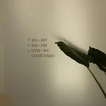 Nostos Serifos